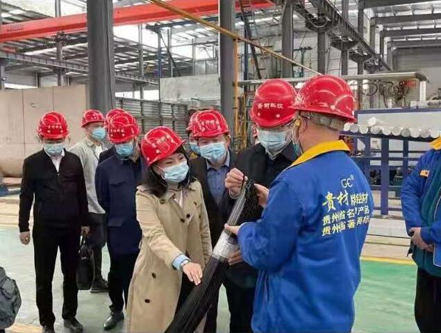 貴陽市常委、市工商聯(lián)、廣東總商會一行到我廠調(diào)研